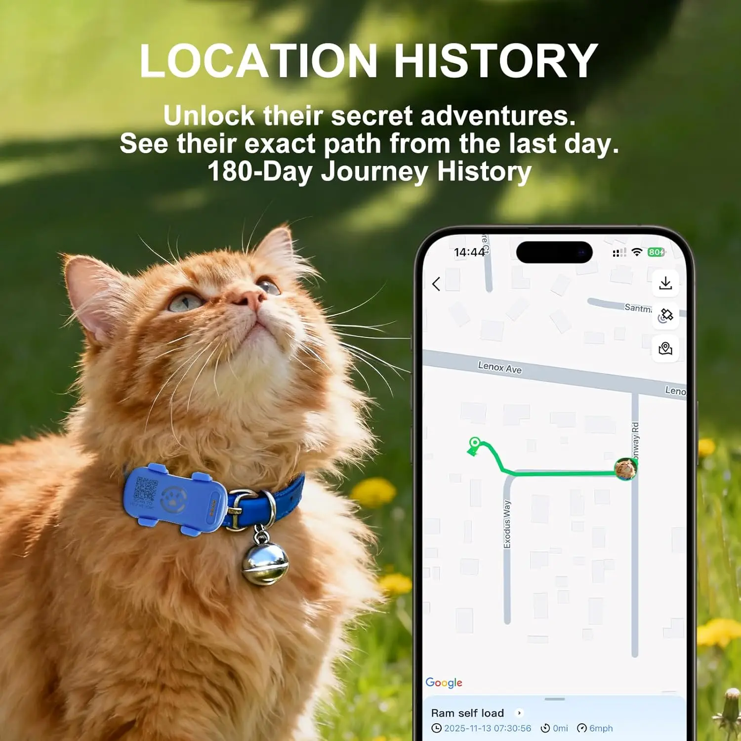 GPS Pet Tracker for Dogs Cats Built-in IoT Sim WiFi Tracking Unlimited Distance QR Code Anti-Lost Locator, Subscription Required